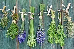 أعشاب لعلاج فطريات أظافر القدم